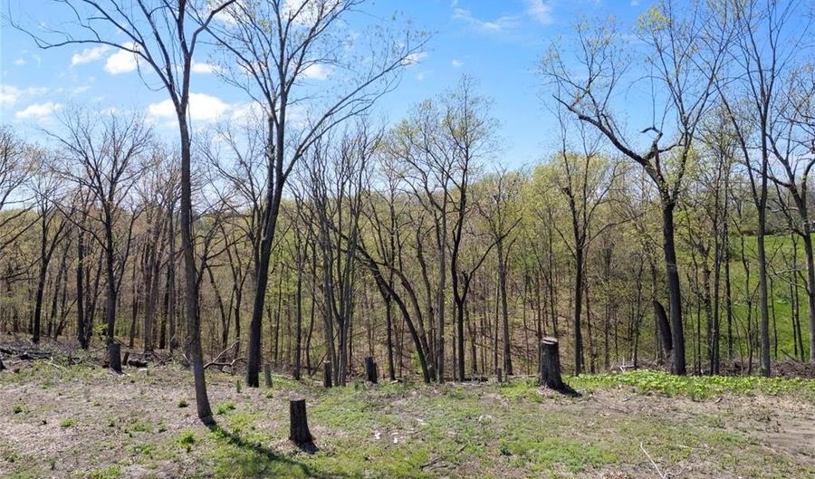 0 Iron Mountain Bluff-Wicks, Arnold, MO 63010 - 0 Beds, 0 Bath