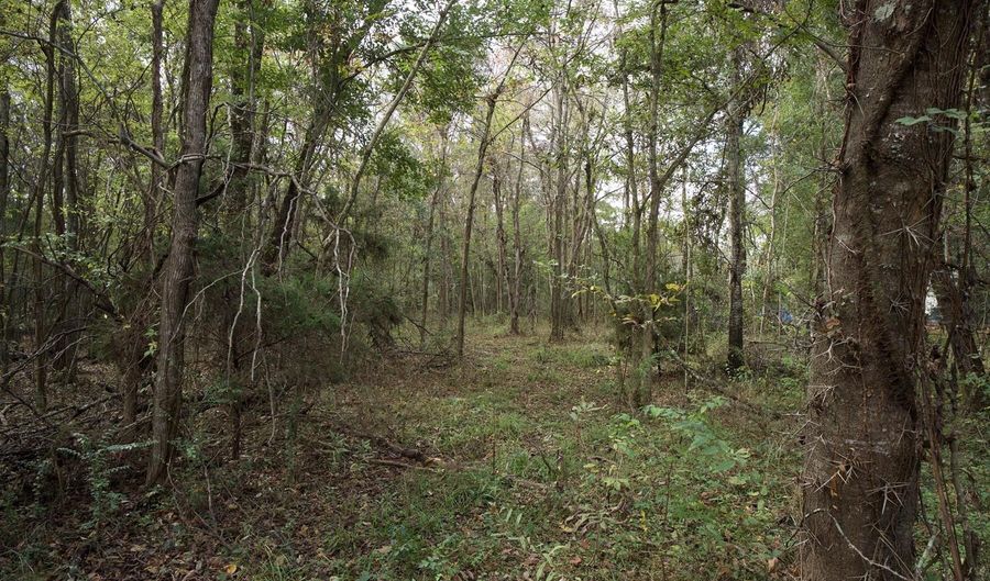 1864 Bushville Hwy Lot 14, Arnaudville, LA 70512 - 0 Beds, 0 Bath