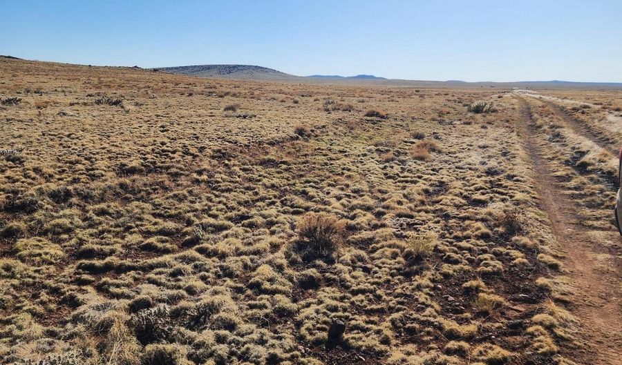 Tbd 340, Concho, AZ 85924 - 0 Beds, 0 Bath