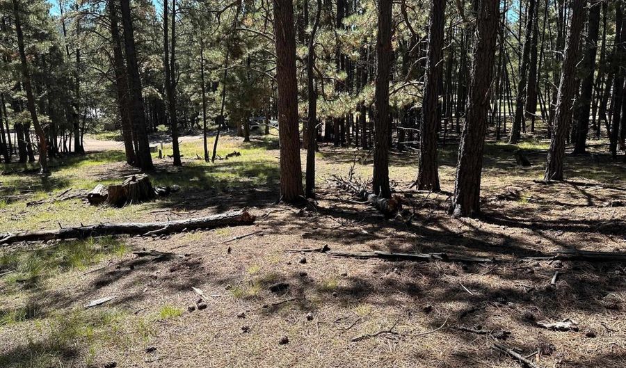 Lot 7 Blk D St Andrews Way, Angel Fire, NM 87710 - 0 Beds, 0 Bath