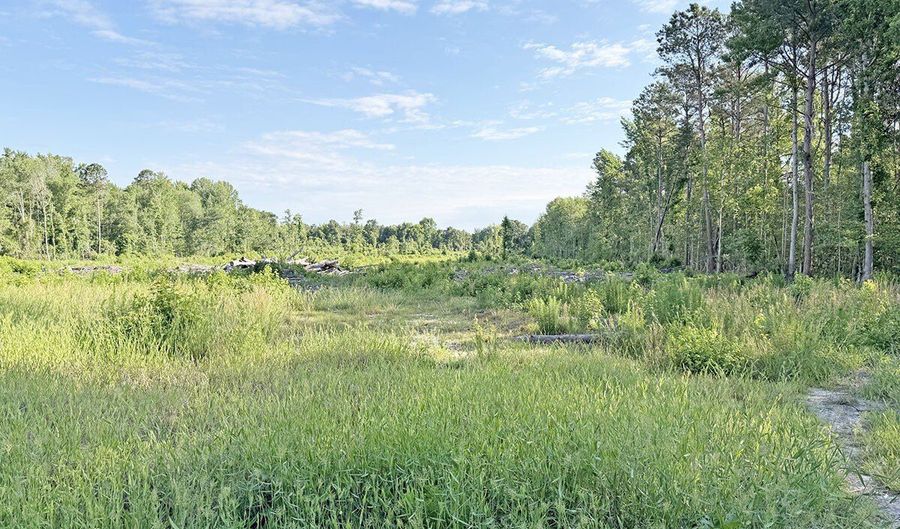 McCall's Millpond Rd, Bennettsville, SC 29512 - 0 Beds, 0 Bath
