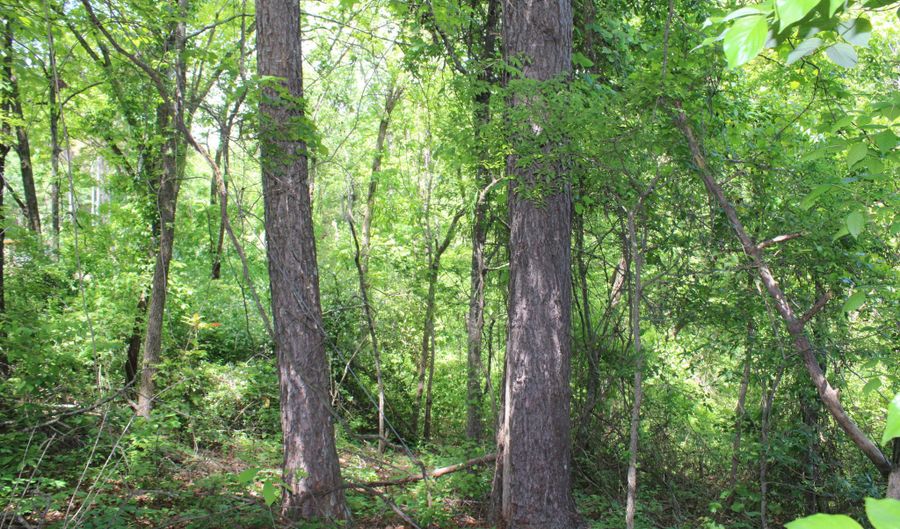 1800 Highway 4 E, Ashland, MS 38603 - 0 Beds, 0 Bath