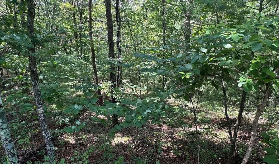 Lot 24 MT SNOW COURT, Basye, VA 22810 - 0 Beds, 0 Bath