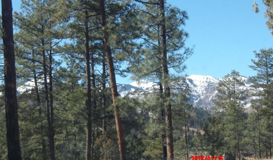 248 Lake Shore Dr 1, Alto, NM 88312 - 0 Beds, 0 Bath