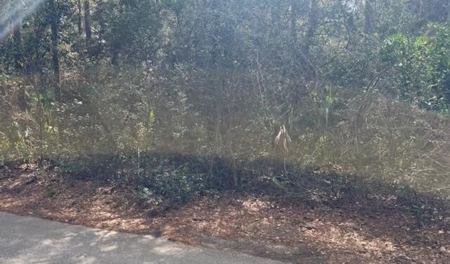 4 Dowitcher Trl, Bald Head Island, NC 28461 - 0 Beds, 0 Bath