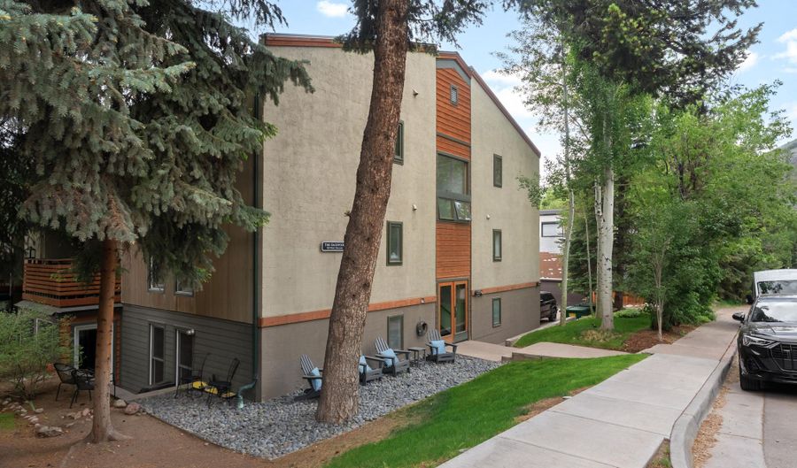 910 W Hallam St 9, Aspen, CO 81611 - 1 Beds, 1 Bath