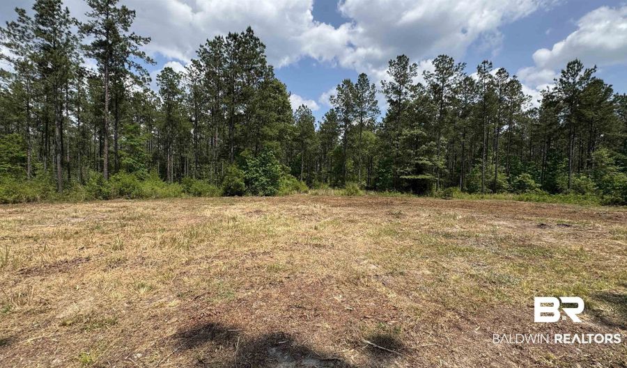 Ronald Sanks Road, Bay Minette, AL 36507 - 0 Beds, 0 Bath
