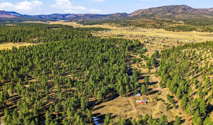 CR N2121, Alpine, AZ 85920 - 0 Beds, 0 Bath