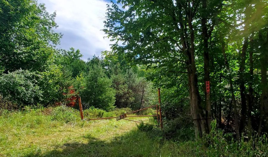 V/L 20AC Monaghan Point Road, Alpena, MI 49707 - 0 Beds, 0 Bath
