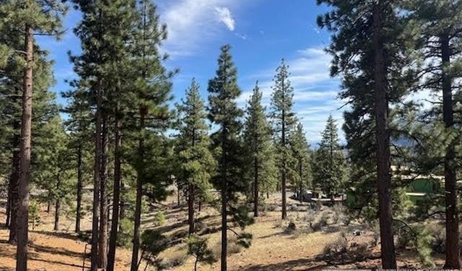187 Duane Bliss Way Lot 42, Carson City, NV 89705 - 0 Beds, 0 Bath