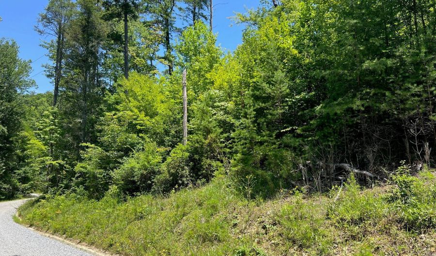Lot 24 Round Mountain Road 24, Brevard, NC 28712 - 0 Beds, 0 Bath