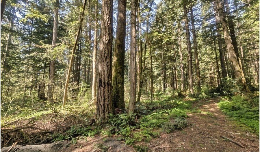 62955 E MOUNTAIN COUNTRY Ln, Brightwood, OR 97011 - 0 Beds, 0 Bath