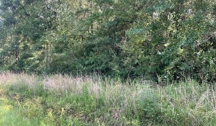 Lot 19 Trap St, Abita Springs, LA 70420 - 0 Beds, 0 Bath