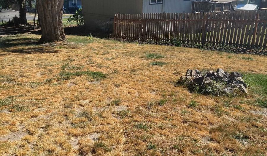 215 N H St, Albion, WA 99163 - 4 Beds, 0 Bath