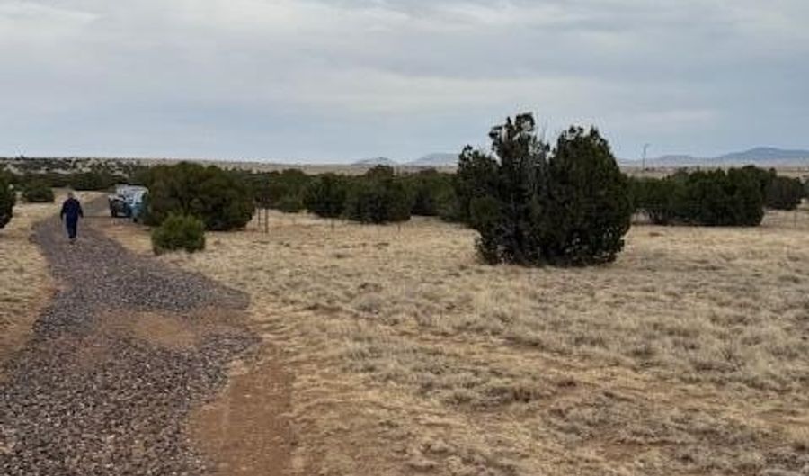 78 County Road 8010, Concho, AZ 85924 - 0 Beds, 0 Bath