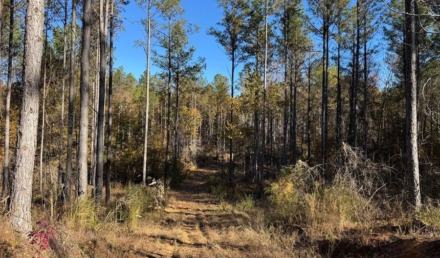 Hwy 9, Bruce, MS 38915 - 0 Beds, 0 Bath