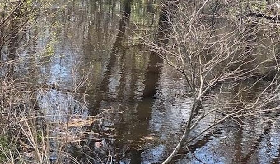 2051 Galilee Rd, Barnwell, SC 29812 - 0 Beds, 0 Bath