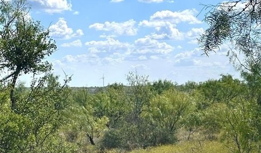 Tbd TBA Cnty Road 100, Abilene, TX 79601 - 0 Beds, 0 Bath