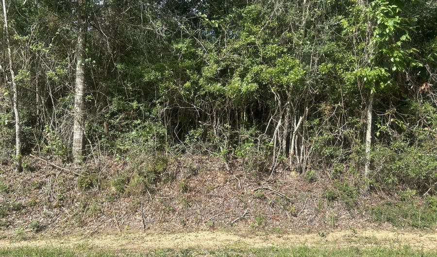 Ms-67, Biloxi, MS 39532 - 0 Beds, 0 Bath