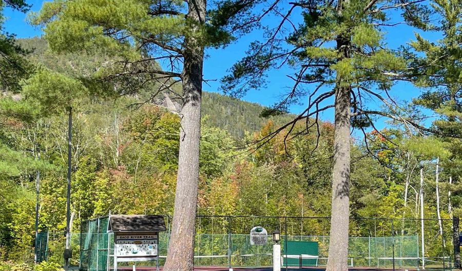 1- O River Run Rd 1-O, Bartlett, NH 03812 - 1 Beds, 1 Bath