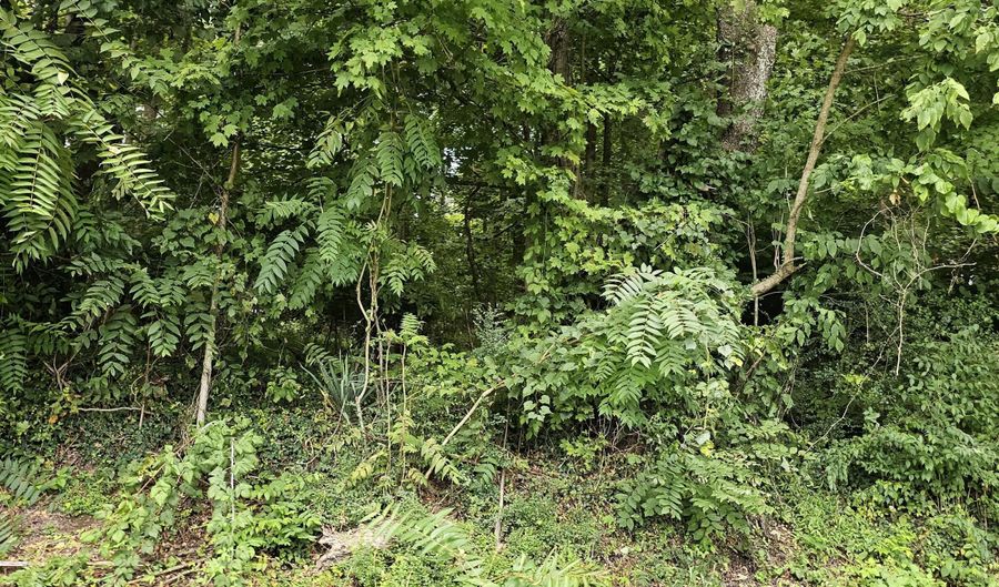 Green Spring Road, Abingdon, VA 24210 - 0 Beds, 0 Bath