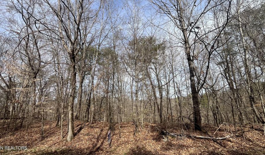 Mountain View Lane Lot # 1101, Baneberry, TN 37890 - 0 Beds, 0 Bath