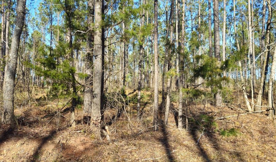 000 BETHANY CHURCH Rd, Lincolnton, GA 30817 - 0 Beds, 0 Bath