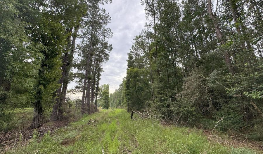 25232 Louisiana Highway 442 Lot Cdt1, Albany, LA 70711 - 0 Beds, 0 Bath