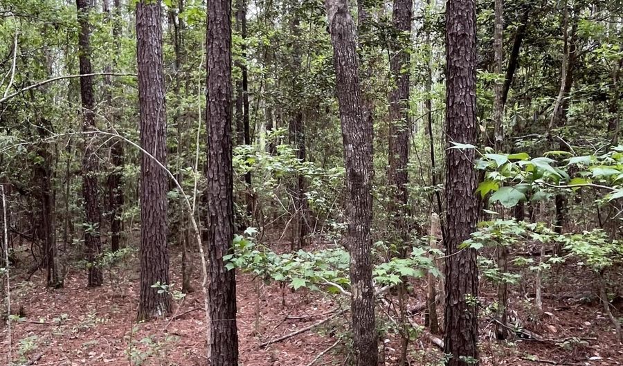 Hwy 49, Brooklyn, MS 39425 - 0 Beds, 0 Bath