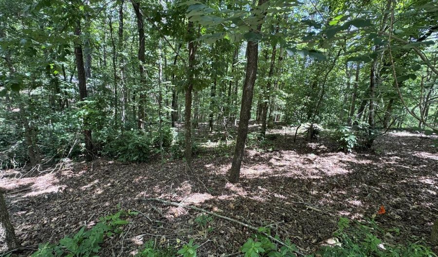 49 La Granja Cir, Hot Springs Village, AR 71909 - 0 Beds, 0 Bath