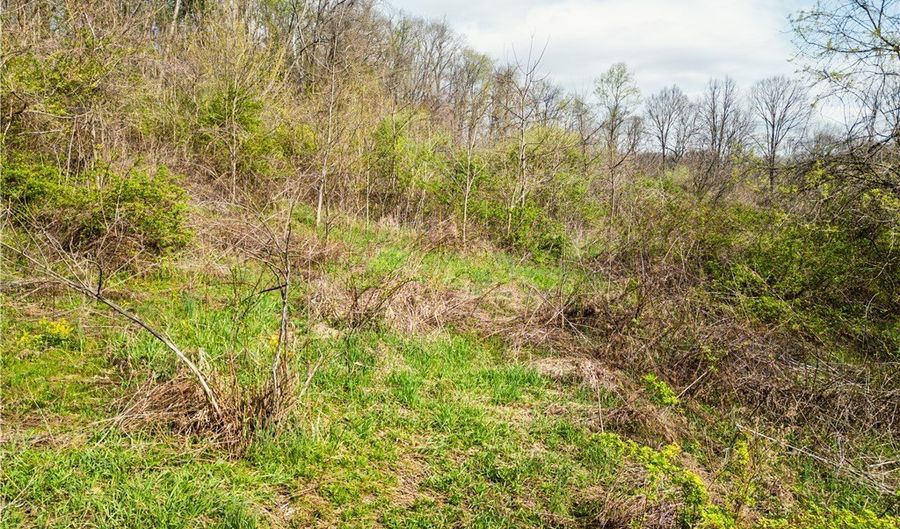 E Captina Highway Road, Alledonia, OH 43902 - 0 Beds, 0 Bath