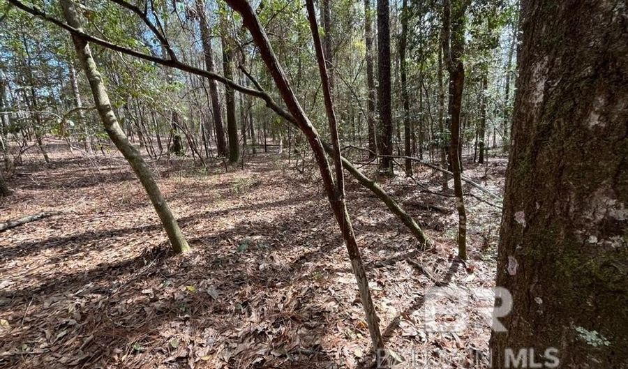 002 Phillipsville Rd, Bay Minette, AL 36507 - 0 Beds, 0 Bath
