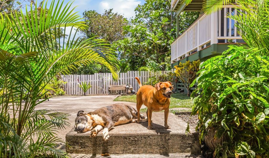 4087 ONI Pl, Kalaheo, HI 96741 - 5 Beds, 3 Bath