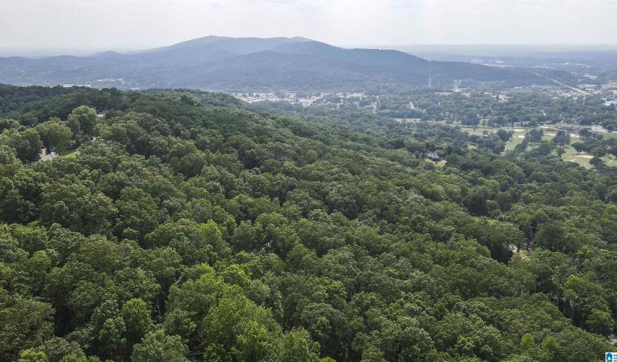0 LANIER Pl 26.25 ac, Anniston, AL 36207 - 0 Beds, 0 Bath