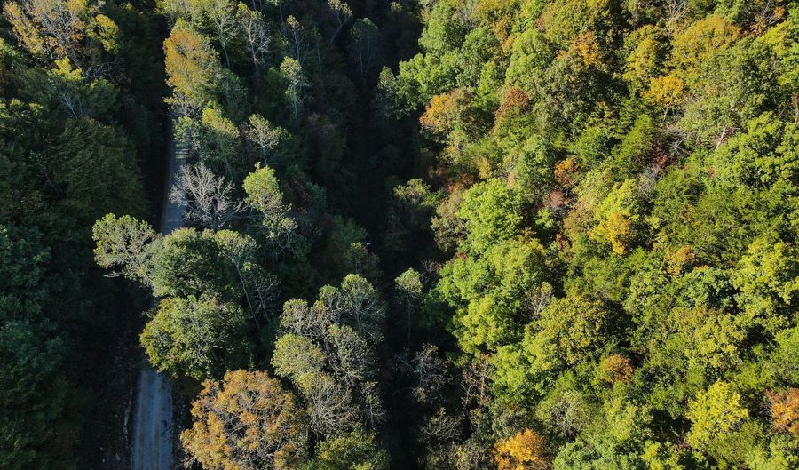 999 HWY 1803 Billies Br, Barbourville, KY 40906 - 0 Beds, 0 Bath