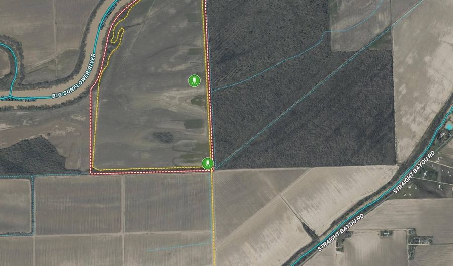 0 Straight Bayou Rd, Anguilla, MS 38721 - 0 Beds, 0 Bath