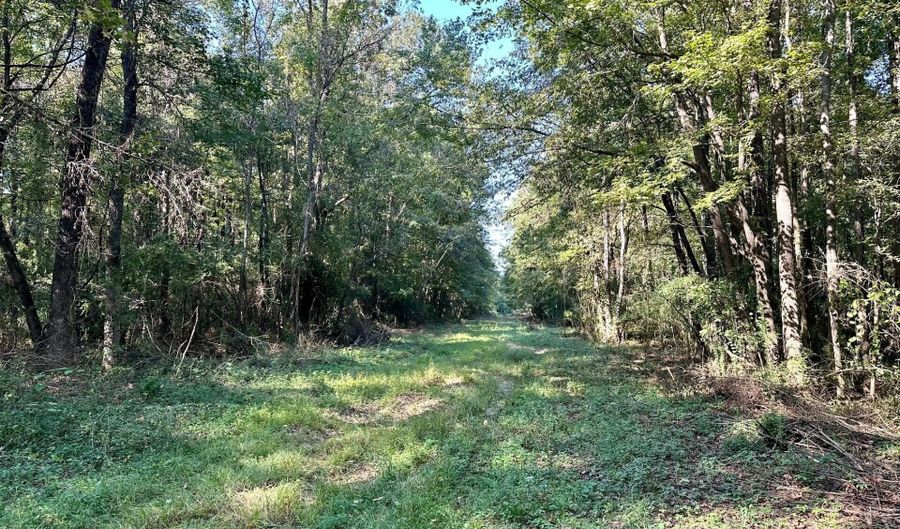 NE Williams Street, Brookhaven, MS 39601 - 0 Beds, 0 Bath