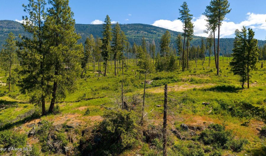 NNA This Way Rd Lot 3 20 Acres, Bonners Ferry, ID 83805 - 0 Beds, 0 Bath