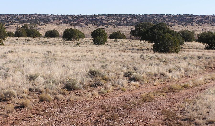 9 N9131, Concho, AZ 85924 - 0 Beds, 0 Bath