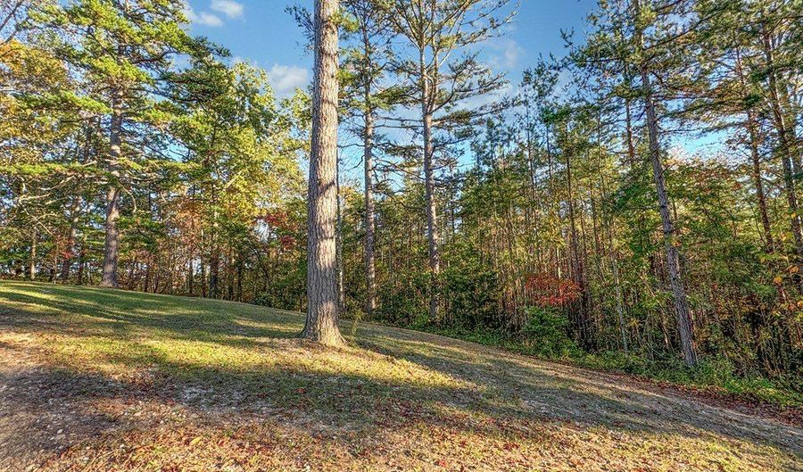 Lot 10 Dry Meadow Dr, Adams, KY 41201 - 0 Beds, 0 Bath