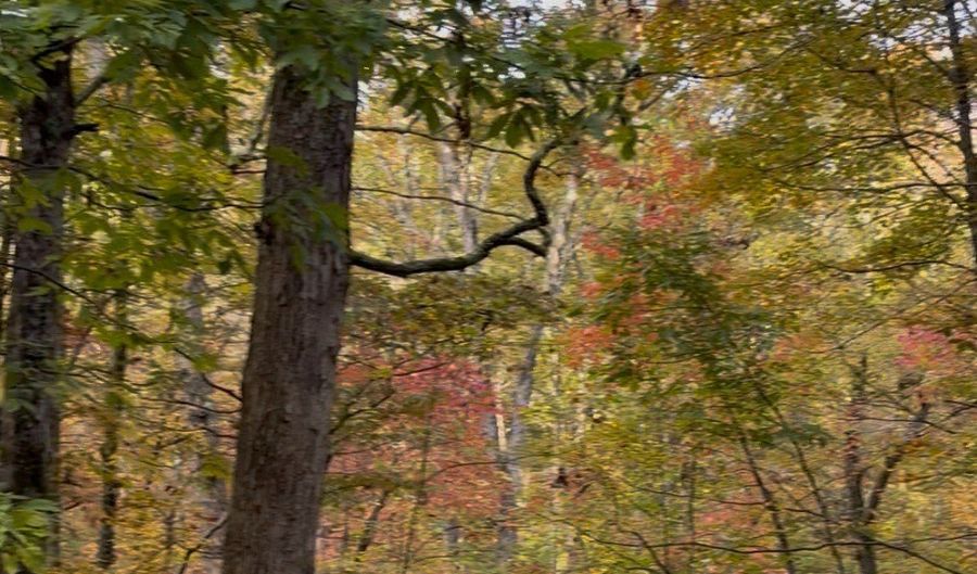 33 Eagle Rdg, Ball Ground, GA 30107 - 0 Beds, 0 Bath