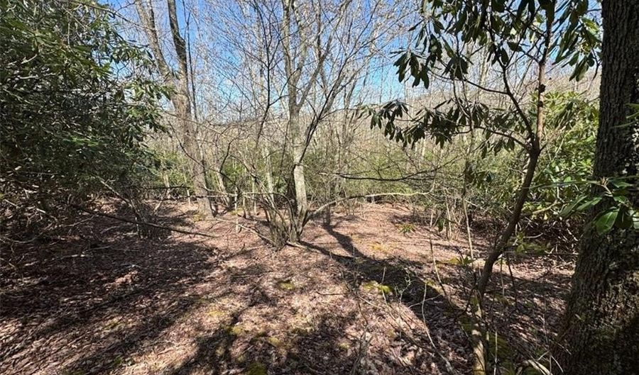 62 Acres Buckeye Ridge Rd, Beech Mountain, NC 28604 - 0 Beds, 0 Bath