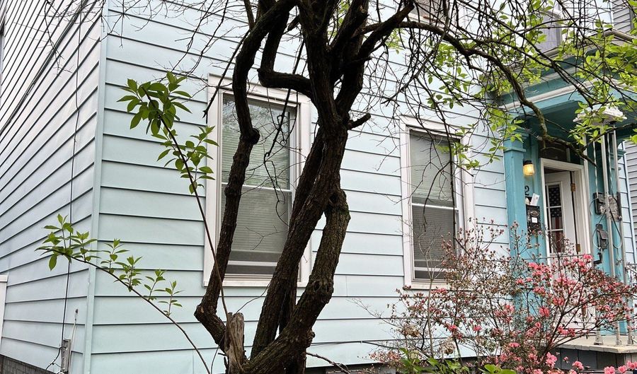 52 Pearl St #2, New Haven, CT 06511 - 2 Beds, 1 Bath