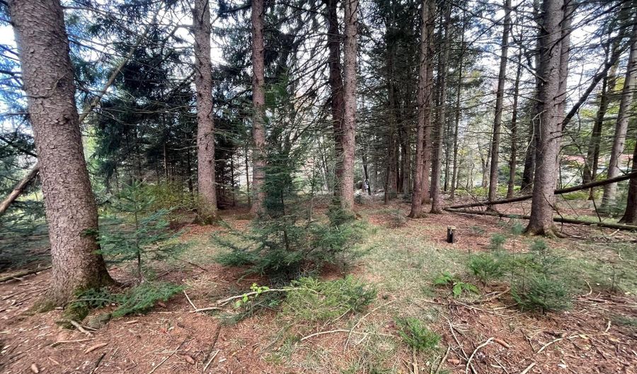 Henning Road, Albrightsville, PA 18210 - 0 Beds, 0 Bath