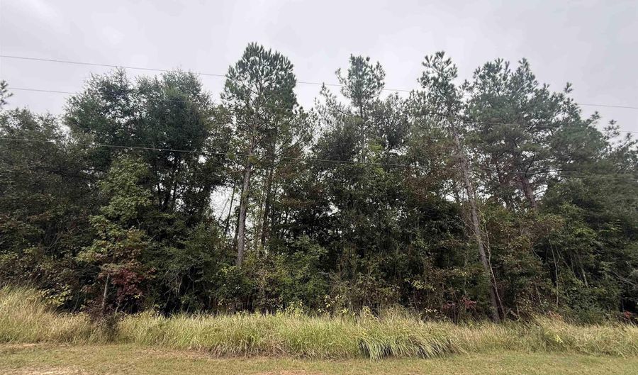 36636 Legacy Way, Bay Minette, AL 36507 - 0 Beds, 0 Bath