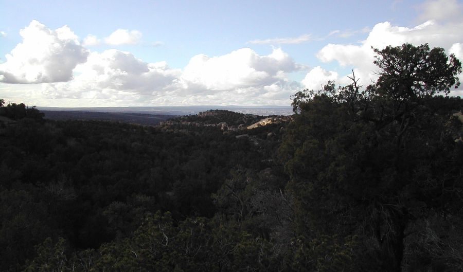 R4001849 ROAD 2777, Aztec, NM 87410 - 0 Beds, 0 Bath