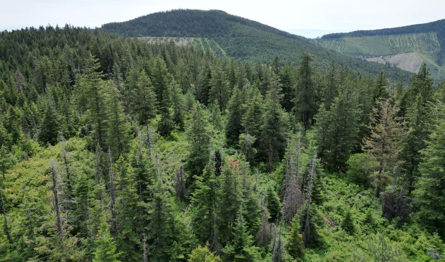 NKA INITIAL PEAK Rd, Cataldo, ID 83810 - 0 Beds, 0 Bath