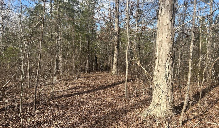 265 LOST POND Ln, Appling, GA 30802 - 0 Beds, 0 Bath