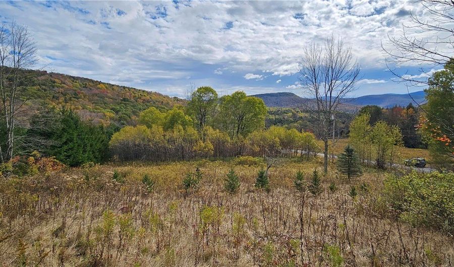 Shaver Hollow, Andes, NY 13731 - 0 Beds, 0 Bath