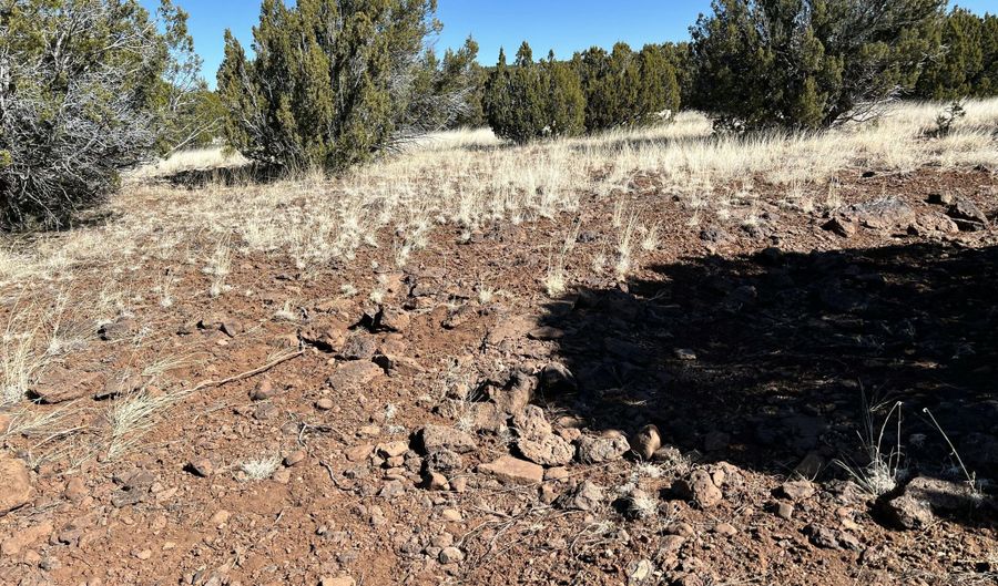 Lot 49 Windsor Valley Ranch, Concho, AZ 85924 - 0 Beds, 0 Bath